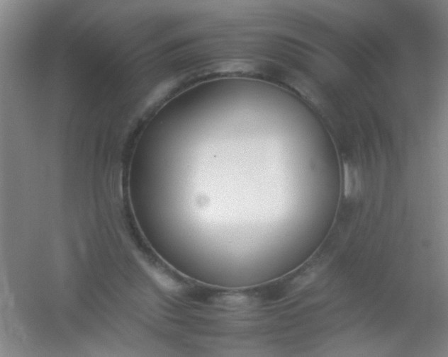 X0000054430253200508121826