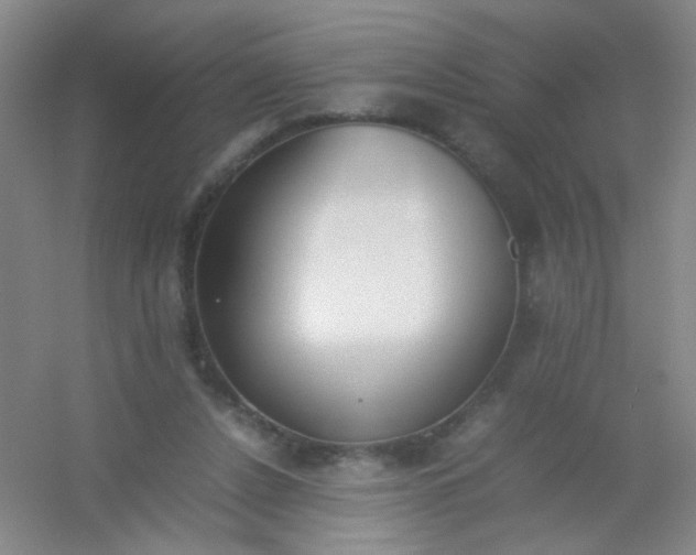 X0000054430256200508121826