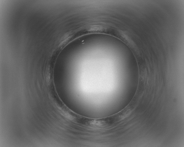 X0000054430261200508121826