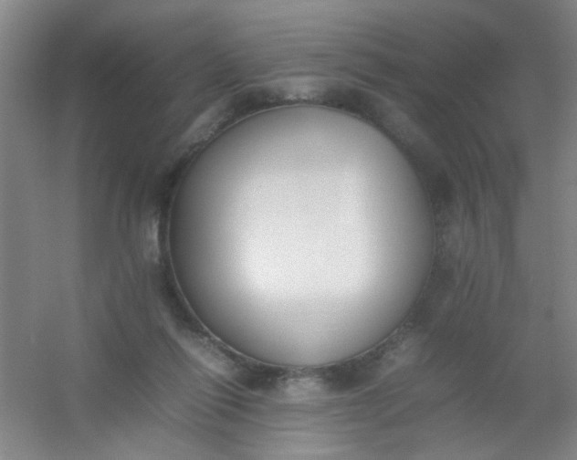 X0000054430262200508121826