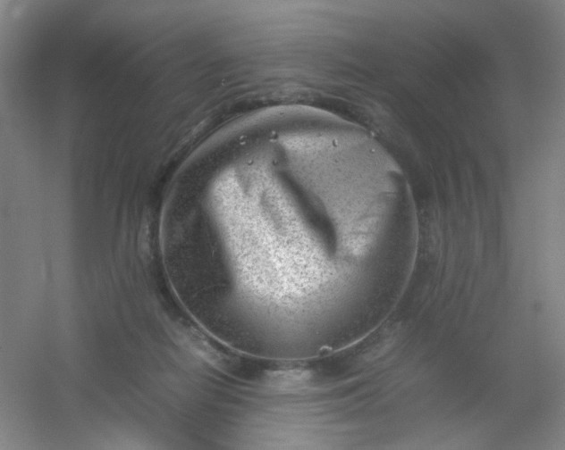 X0000054430266200508121826