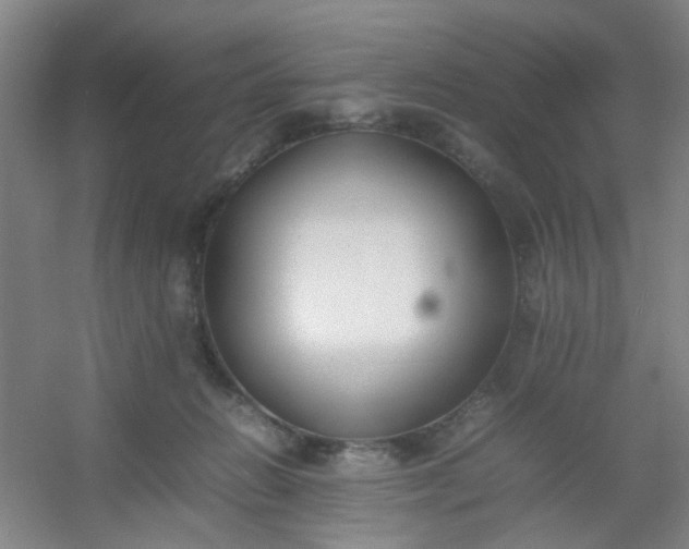 X0000054430270200508121826