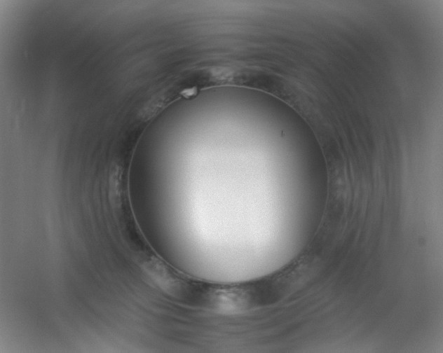 X0000054430275200508121826