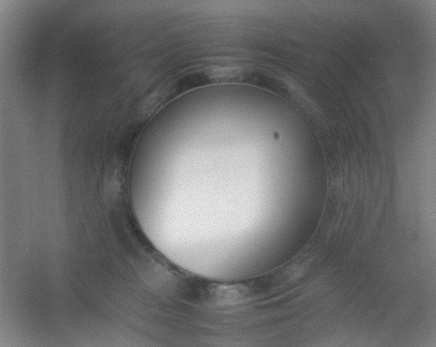 X0000054430277200508121826