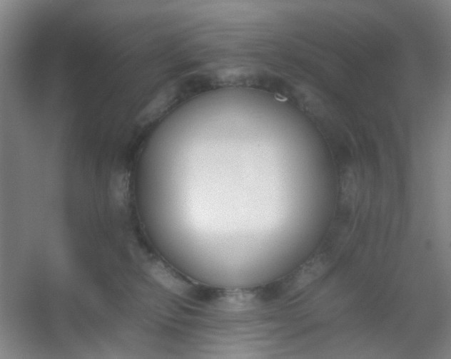 X0000054430278200508121826