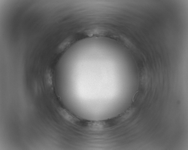 X0000054430282200508121826