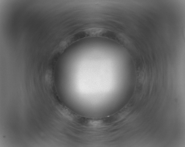 X0000054430283200508121826