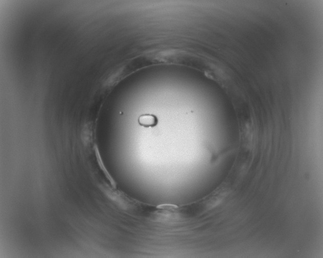 X0000054430284200508121826