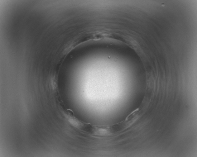 X0000054430285200508121826