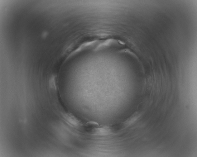 X0000054430286200508121826