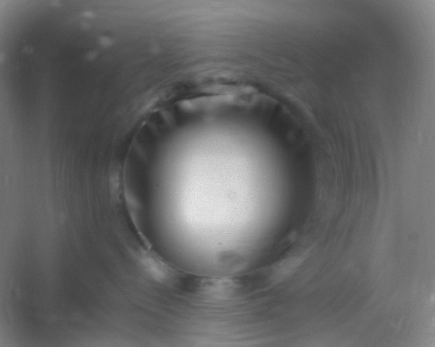 X0000054430288200508121826