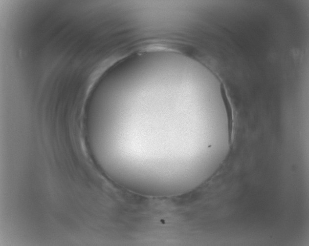 X0000054430289200508121826