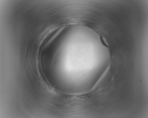 X0000054430290200508121826