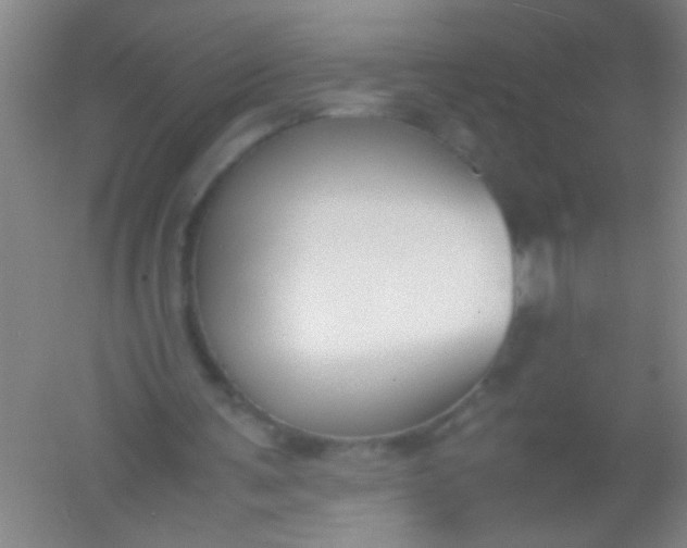 X0000054430291200508121826