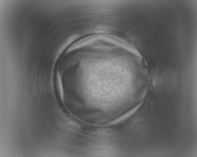 X0000054430292200508121826