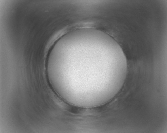 X0000054430293200508121826