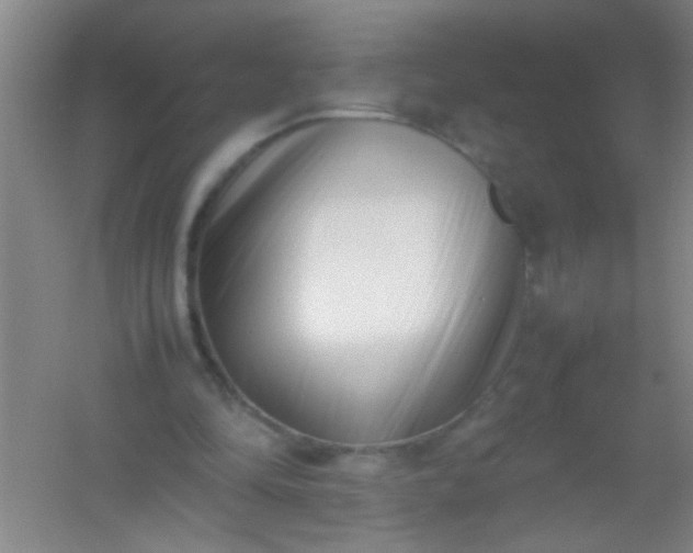 X0000054430294200508121826