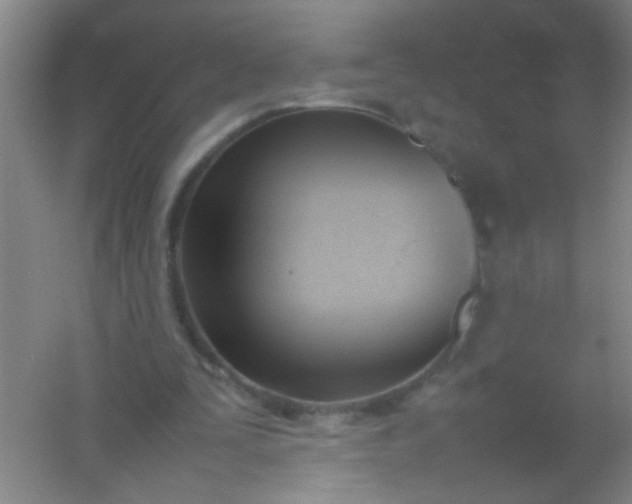 X0000054430295200508121825