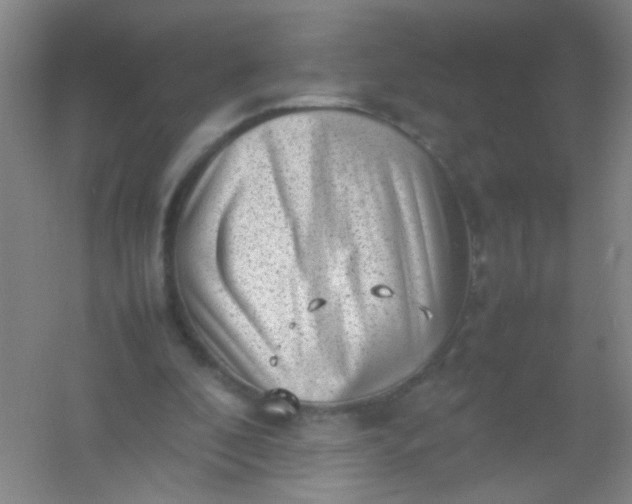 X0000054430296200508121825