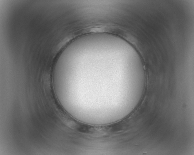 X0000054430297200508121825