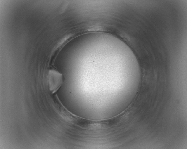 X0000054430298200508121825