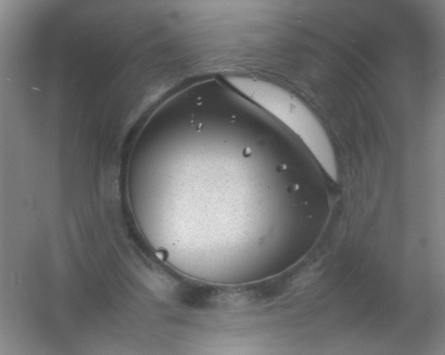 X0000054430299200508121825