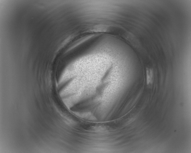 X0000054430300200508121825