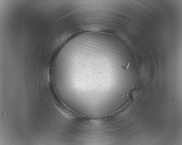 X0000054430302200508121825