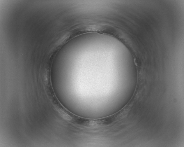 X0000054430305200508121825