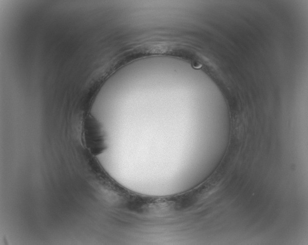 X0000054430307200508121825