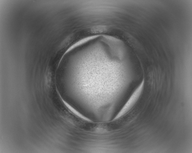 X0000054430308200508121825