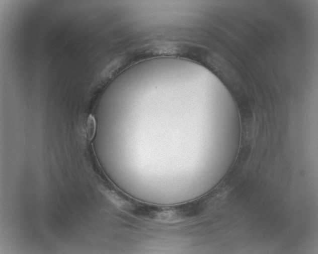 X0000054430309200508121825