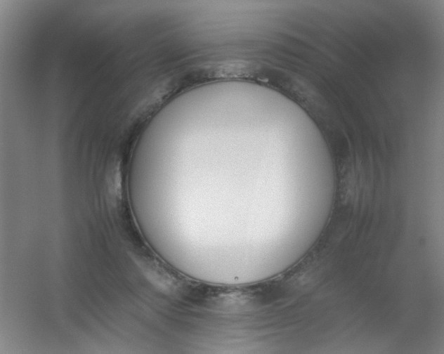 X0000054430310200508121825