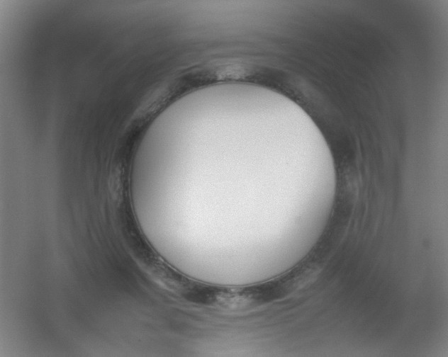 X0000054430311200508121825