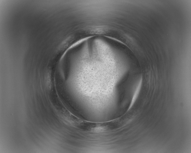 X0000054430312200508121825