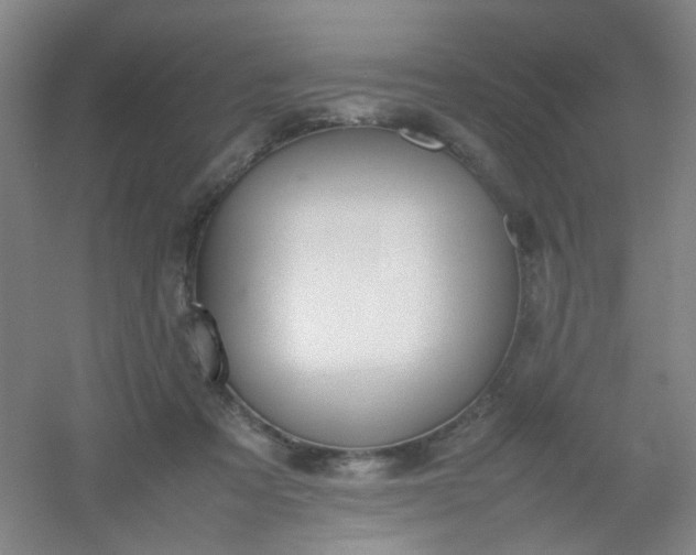 X0000054430313200508121825