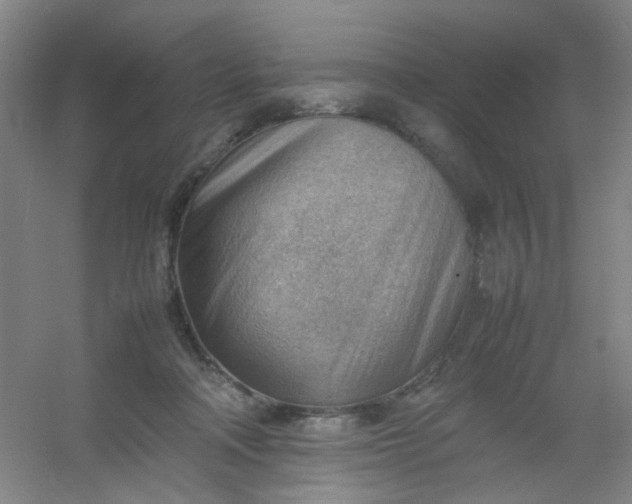 X0000054430314200508121825