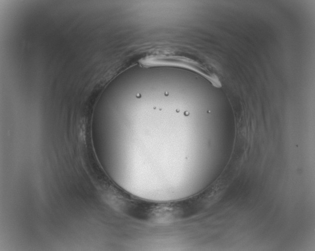 X0000054430315200508121825