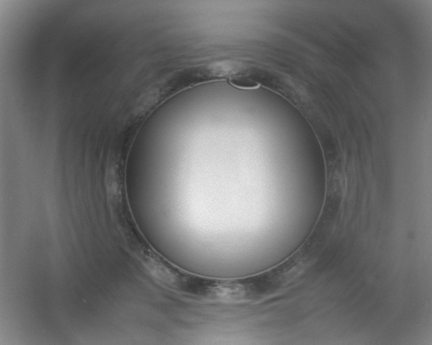 X0000054430317200508121825