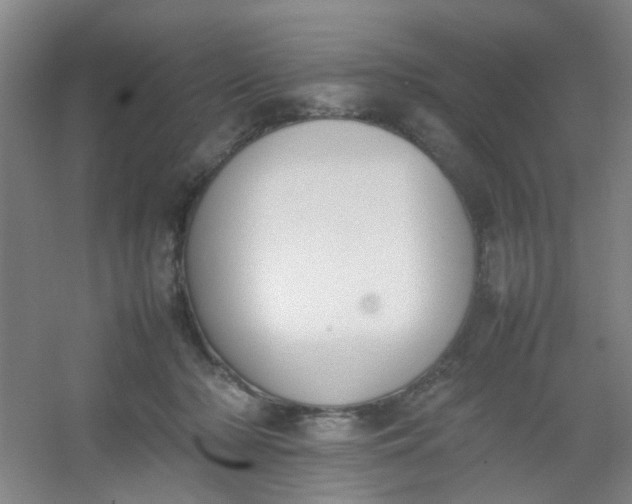 X0000054430318200508121825