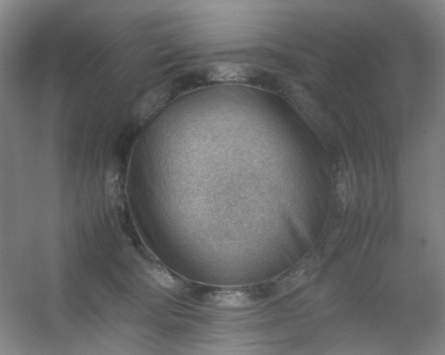 X0000054430322200508121825