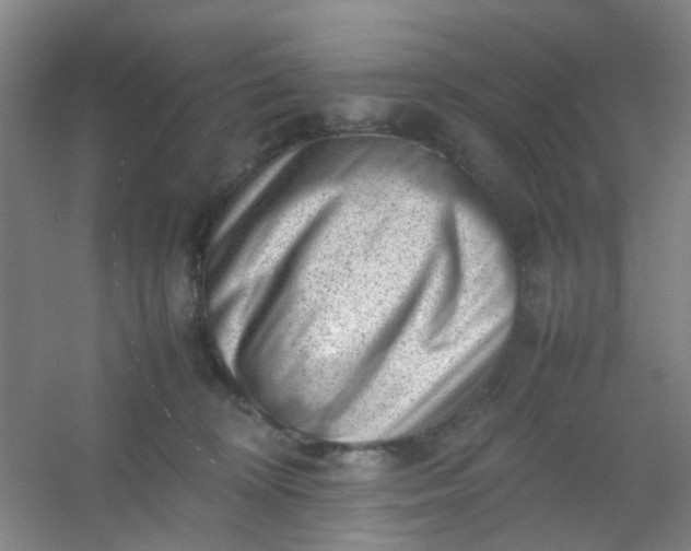 X0000054430324200508121825