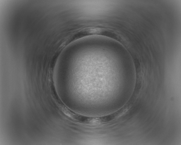 X0000054430325200508121825