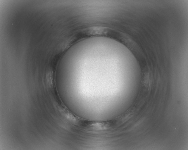 X0000054430326200508121825