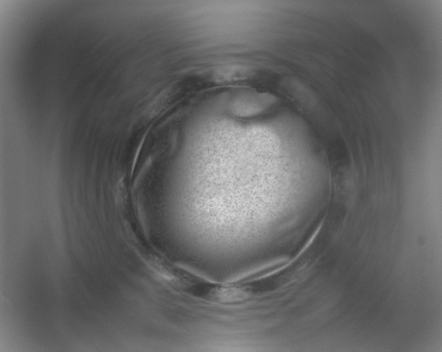 X0000054430327200508121825