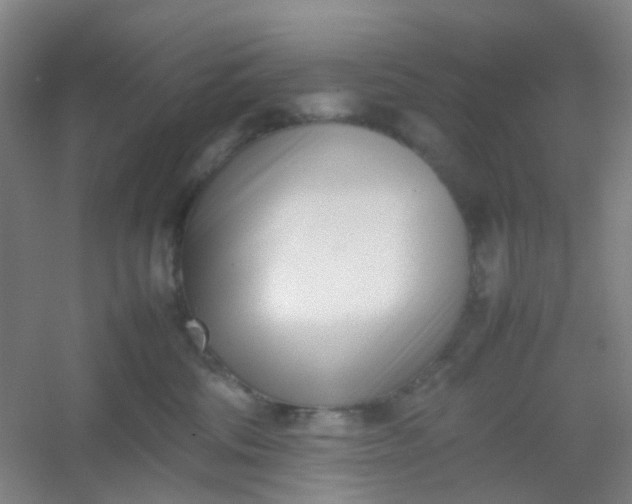 X0000054430330200508121825