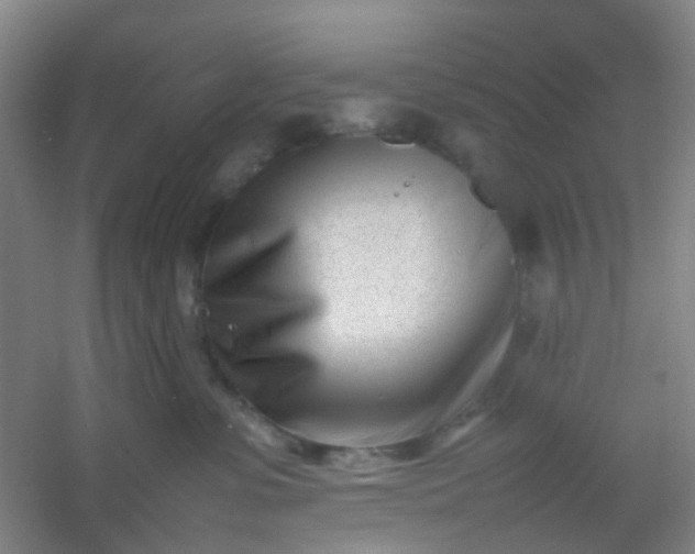 X0000054430331200508121825