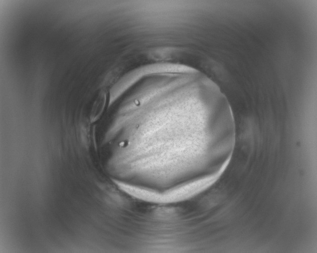 X0000054430332200508121825