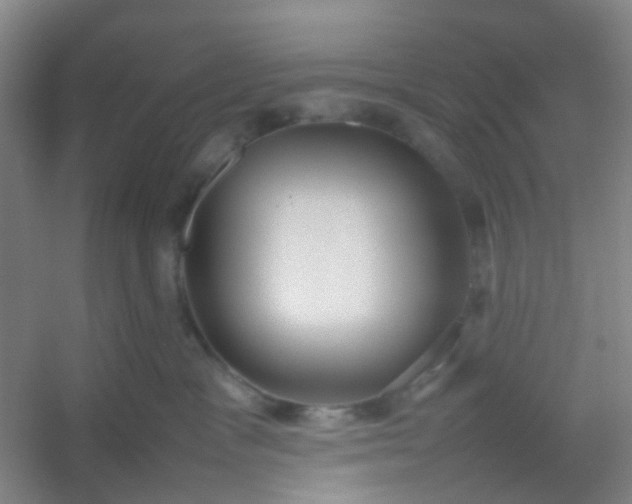 X0000054430333200508121825