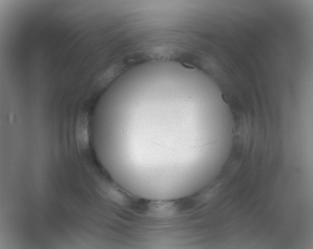 X0000054430334200508121825